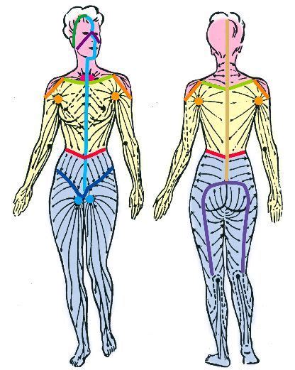 Manual Lymphatic Drainage - Massage Therapy Connections