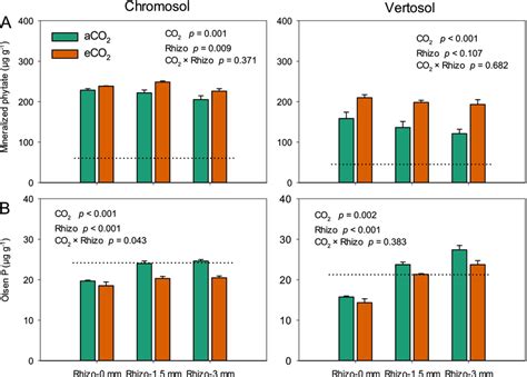 The Mineralized Phytate A And Olsen P B In The Rhizosphere