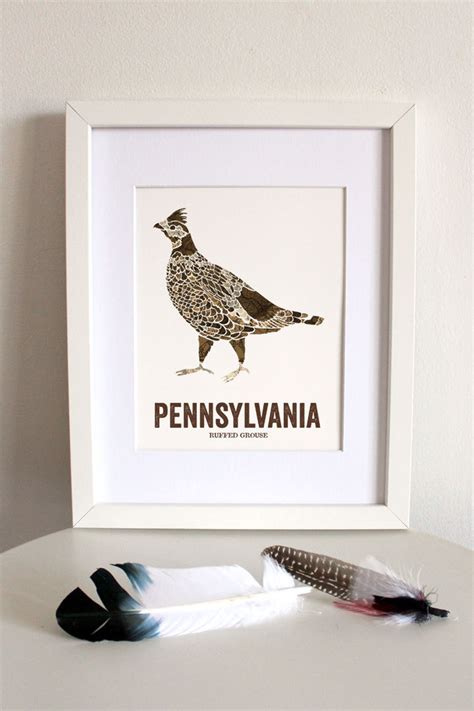 Pennsylvania State Bird Nature Art Outdoor Art Vintage Map Etsy