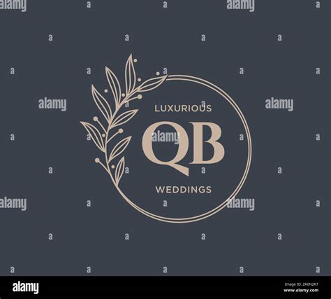 Qb Initials Letter Wedding Monogram Logos Template Hand Drawn Modern