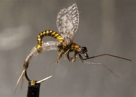 Fly Fishing Flies Pattern Fly Tying Patterns Fly Fishing Flies Trout