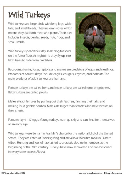 Thanksgiving Reading Comprehension Wild Turkeys Non Fiction