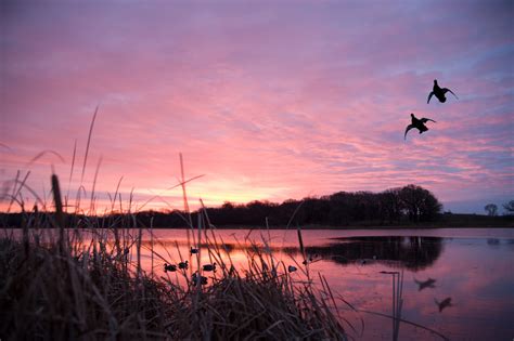 Anyone Have Dates Yet Duck And Geese 2022 2023 Refuge Forums