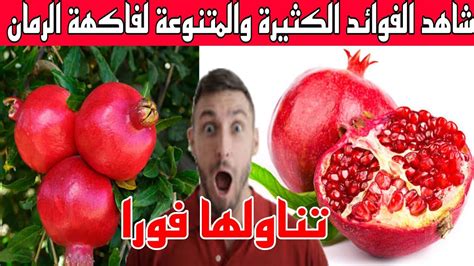 سبحان الله فوائد كثيرة ومتنوعة لفاكهة الرمان تعرف على فوائد الرمان للجسم Youtube