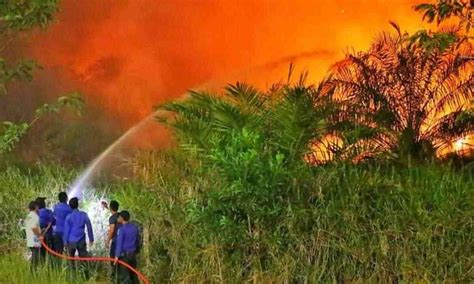 Gawat Karhutla Di Ogan Ilir Kian Parah Lahan Terbakar Lebih Dari