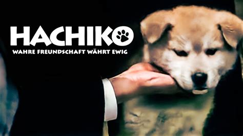 Hachiko Wahre Freundschaft währt ewig Dramafilm kostenlos auf