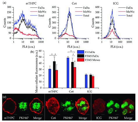 A Ps Distribution In Fadu And Mewo Cells In Co Culture Fadu Mewo