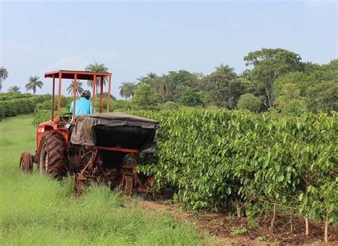 Ten Things You Should Know About Agriculture In Brazil Ohio Ag Net