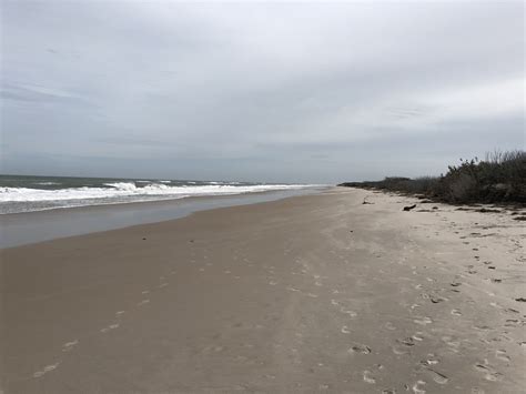 Tips For Exploring Merritt Island National Wildlife Refuge Riley S Roves