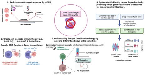 Drug Resistance Management Strategies Used To Manage And Overcome Drug Download Scientific