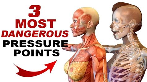 Pressure Points For Self Defense Diagram