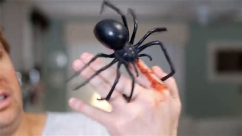 GIANT BLACK WIDOW BITE! | JesseAndMike Wiki | Fandom