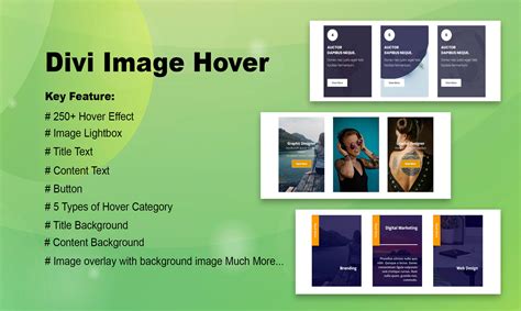 Divi Image Hover Effects Plugin 250 Advanced Subtle Divi Hover Effects