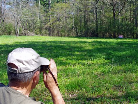 Expert Tips For Summer Deer Food Plots