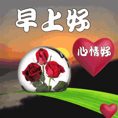 11月5，早上好，我最在乎的你，早安祝福來送到，願你好運幸福繞 每日頭條