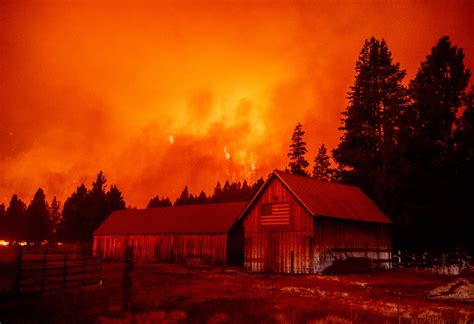 California Cierra Todos Los Bosques Nacionales Antes Del Feriado Del