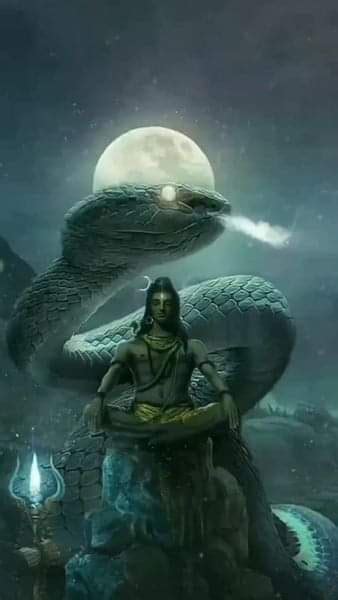 Ayurveda Initiative For Global Health Why Lord Shiva Wears Snake