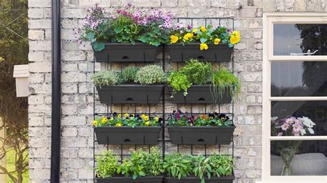 Create A Vertical Garden Vertical Garden Ideas Homebase