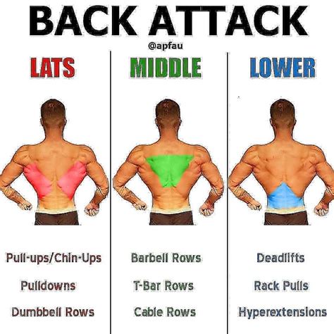 Back Workout For Yours🔥 ️ ️💯 For More Content Follow Us 👉 Gym