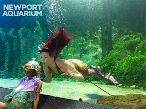 Mermaids Arrive at Newport Aquarium | Aquarium Works