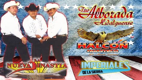 La Nueva Dinast A Y Alborada Hidalguense Halc N Huasteco Imperialesde