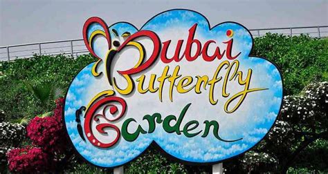 Butterfly Garden Dubai - Discover the UAE