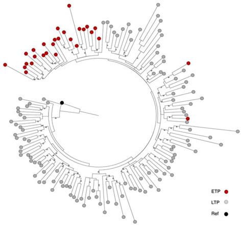 Vaccines Free Full Text No Difference In The Prevalence Of Hiv