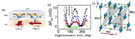 Spintronics With Antiferromagnets Kläui Lab