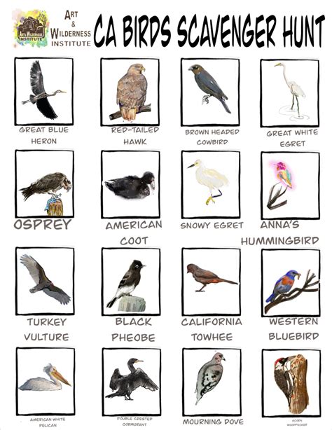 CA Native Birds, Birding, Scavenger Hunt, Artwork, Education, Educational resources, Nature ...