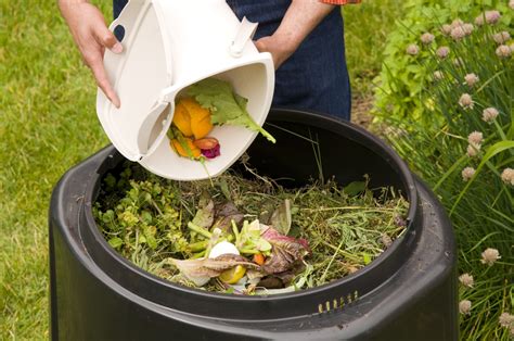 3 Règles Essentielles Pour Mon Compost Jardin Compost