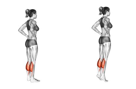 7 Best Calf Raise Variations With Pictures Inspire Us