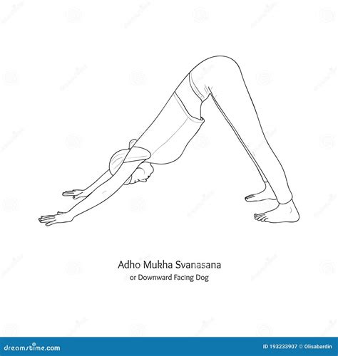 Adho Mukha Dandasana Vector Illustration Decorative Design