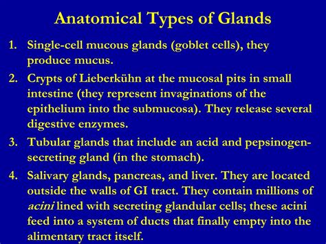 PPT Secretory Functions Of The Alimentary Tract Salivary Glands And