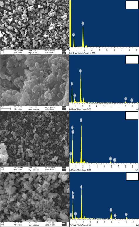 Scanning Electron Microscopy Sem And Edx Analysis Of A Sba 15 B Download Scientific