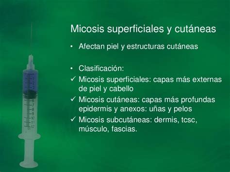 Micosis Superficiales Y Cutaneas Piel Enfermedades Y Trastornos Images Images