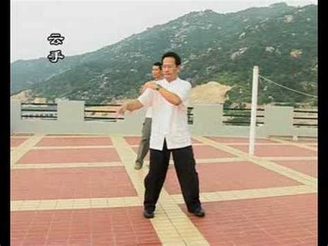 楊氏嫡傳鄭子太極拳37式影片 謝昭隆 Yang Style Cheng Man Ching Tai Chi Chuan YouTube