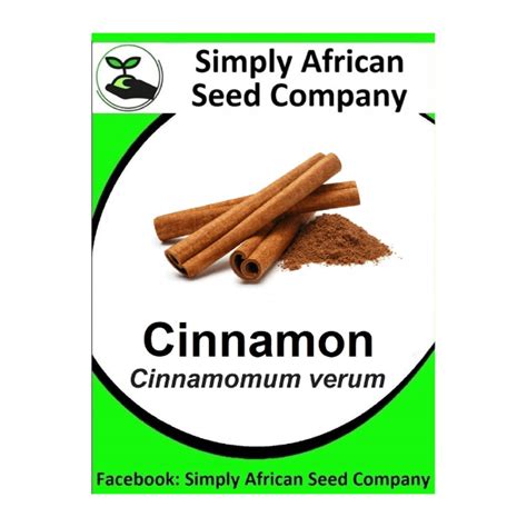 Cinnamon (Cinnamomum Verum) Seeds - simplyafricanseedcompany