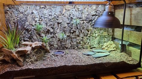 Jak zbudować terrarium dla żółwia lądowego Turtles pl