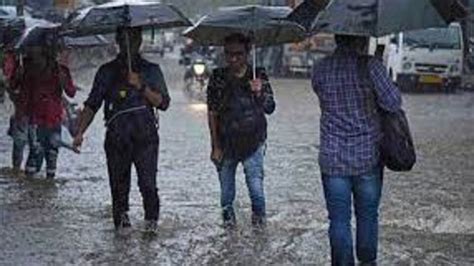 Maharashtra Rain राज्यात पावसाचा जोर पुन्हा वाढणार ‘या विभागात पुढील पाच दिवस यलो अलर्ट