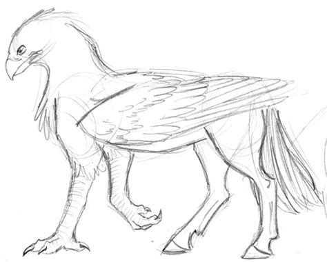 hippogriff coloring page