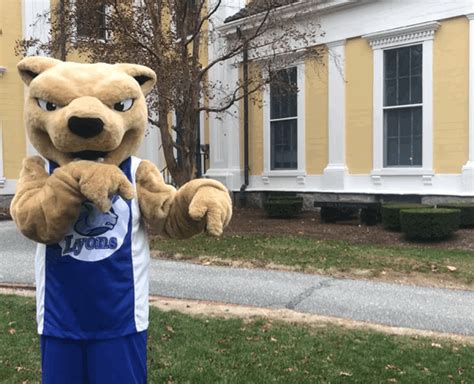 College Mascot GIF by Wheaton College (MA) - Find & Share on GIPHY