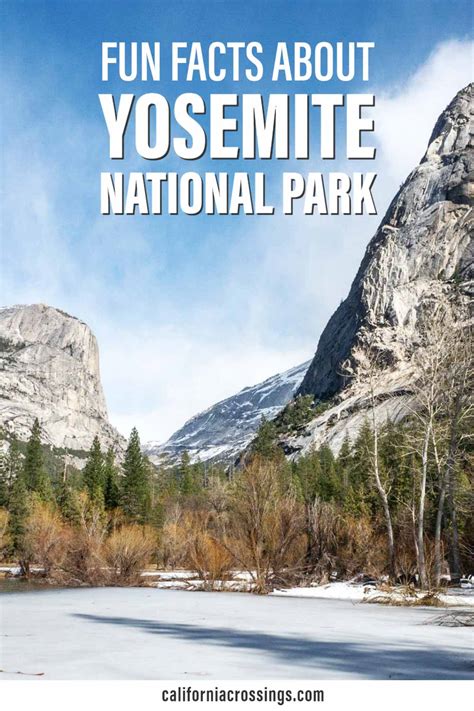 Fun Facts About Yosemite National Park That Will Surprise You