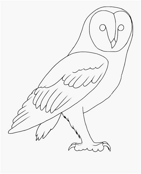 Barn Owl Line Drawing , Free Transparent Clipart - ClipartKey