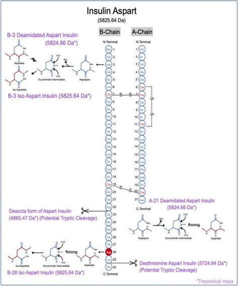 Comparative physicochemical and structural characterisation studies ... 