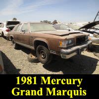 Murilee Martin S Junkyard Gems Treasures And Finds Mercury