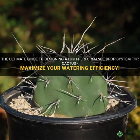 The Ultimate Guide To Designing A High Performance Drop System For Cactus Maximize Your