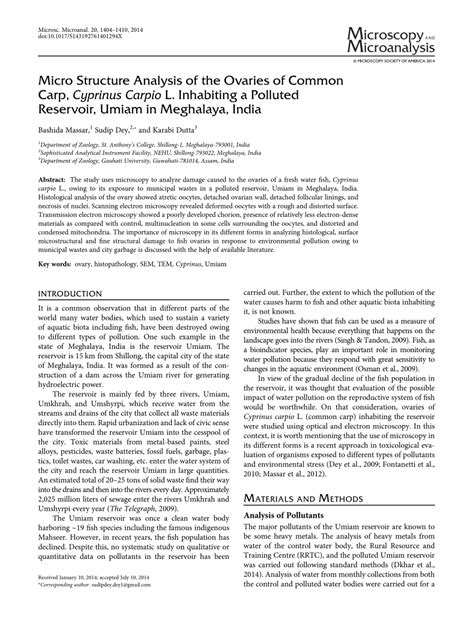 Pdf Micro Structure Analysis Of The Ovaries Of Common Carp Cyprinus