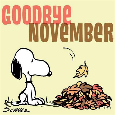 Pin By Crystal Cope On Peanuts Gang Snoopy Images November Quotes Hello November