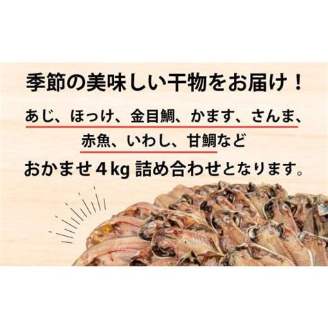 ふるさと納税 静岡県 沼津市 訳あり 干物 おまかせ 45kg 詰め合わせ 大容量 沼津 ひもの すずひで 5217682ふるさと