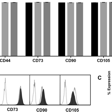 Immunophenotypic Characterization Of MSCs A The Expression Of CD44